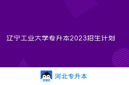 辽宁工业大学专升本2023招生计划